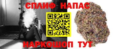 каннабис Будённовск