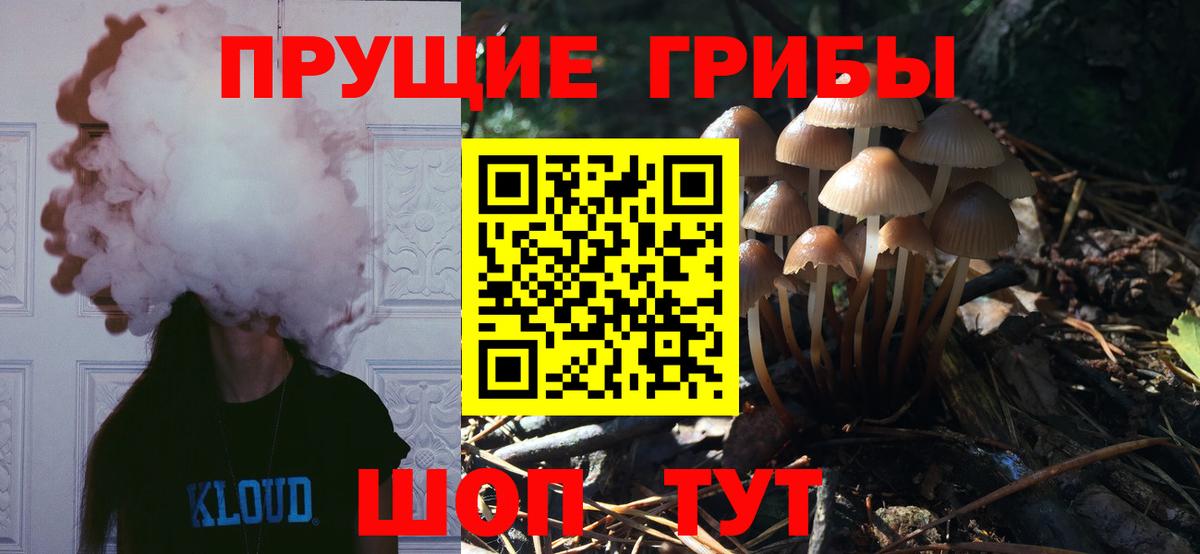Рославль  Псилоцибиновые грибы MAGIC MUSHROOMS  Вход с VPN  Псилоцибиновые грибы Psilocybine cubensis 